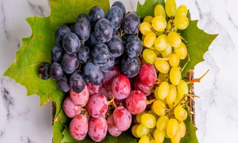 فوائد العنب .. ما هو الفيتامين الموجود في العنب؟