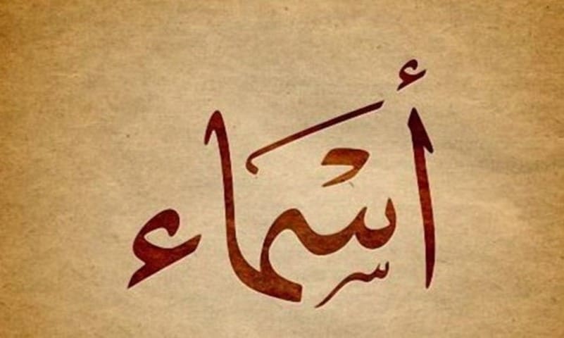 ما معنى اسم أسماء وصفات حامله .. معنى اسم أسماء في القرآن الكريم
