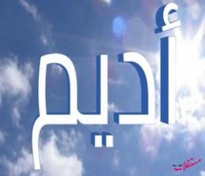 معنى اسم أديم في المعجم العربي