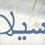 معنى اسم سيلا في القرآن الكريم وفي المعجم
